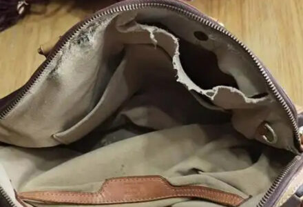No Damage & Holes